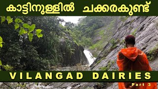 Chakkarakundu waterfalls calicut | hidden waterfall