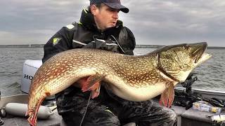 138 CM PIKE