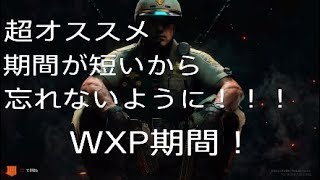 [BO4]武器レベルとランク上げオススメ期間[実況]