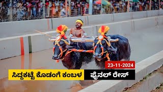 Siddakatte Kodange Kambala  Final Race 2024 -25 | ಸಿದ್ಧಕಟ್ಟೆ ಕೊಡಂಗೆ ಕಂಬಳ  ಫೈನಲ್ ರೇಸ್