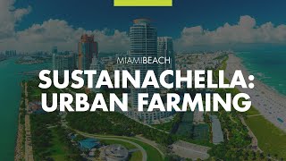 Sustainachella Turnip for Urban Farming