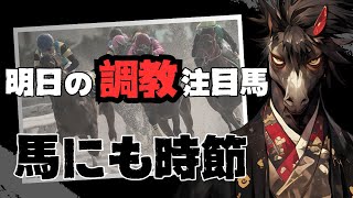 【馬にも時節】中山5R 新馬戦 コース相性良い調教のブラックジェダイト/オールニッポンとユイノレクターにも注目【明日の調教注目馬】