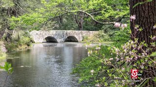 Exploring Newburyport's creative side — from art to nature