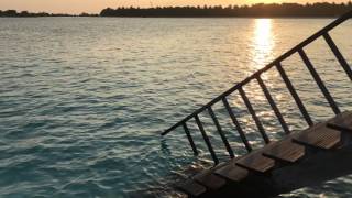 High tide to low tide transition time-lapse at sunset in Maldives, Lankanfinolhu