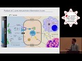 Distinct C. Acnes Strains Isolated from Lesional and...