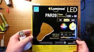 Luminus PAR20 LED Review and Installation