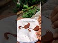 Chocolate Swan🦢#shorts @5MinuteCraftsYouTube @YouTube #hack #chocolate #shorts #video  #short #viral