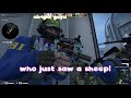 144HZ CS GO MOMENTS