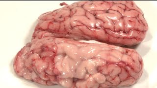 Deep-Fried Brains - How To