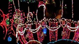 Tokyo Disneyland Electrical Parade Dreamlights迪士尼2010晚上燈光大遊行5