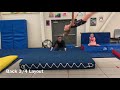 round off back handspring back layout 1 1