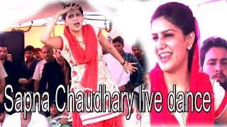 Sapna Chaudhary live dance || तेरी लाड़ करू रै || Haryanvi New Song sapna 2016