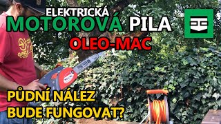 Moje 1. zkušenost: Elektrická řetězová motorová pila - Půdní nález a odklizení následků po vichřici