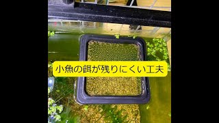 【水槽】メダカ食べ残し／水質劣化対策「餌やりリング」（餌が残りにくい工夫）