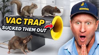 The DEADLIEST trapping battle- 18 mice, rats \u0026 squirrels sucked up !