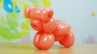 풍선아트 Basic Balloon Pig (풍선 돼지 만들기)