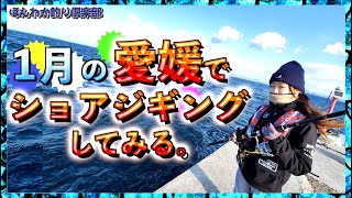 第195話【愛媛ショアジギング】ショアジギとノマセで挑んだら食い付いてきた!の巻