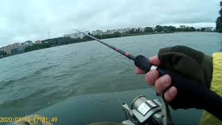 Рыбалка 12 июля 2020 Южный Буг Хмельницкий 4 из 4