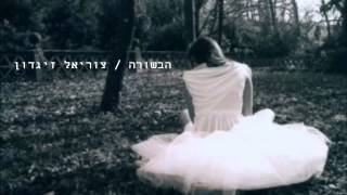 הבשורה - צוריאל זיגדון