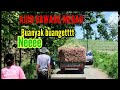 VLOG DARI DESA KAMAL KE DESA PAMULIHAN KEC LARANGAN BREBES @umarnawawichanel5597