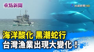 海洋酸化 黑潮蛇行 台灣漁業出現大變化！【重點新聞】