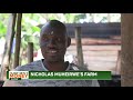 Harvest Money: Muheirwe's 16-cow farm transforms his life; retires from formal job