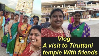 vlog/Friends తో కలిసి తిరుత్తణి గుడికి వెళ్ళాము/Tiruttani temple with my friends/Mushroom Biriyani