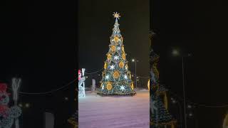 Здравствуй Елка Новый Год ! Новогодняя Ёлка SkyMall! Киев, праздник, видео, скай молл, Рождество.