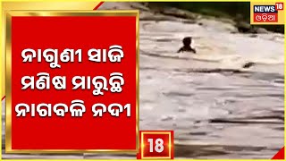 Rayagada News | ରାୟଗଡାରେ ପର୍ଯ୍ୟଟକଙ୍କୁ ଟାଣୁଛି ଝୁଲା ପୋଲ , ନାଗୁଣୀ ସାଜି ମଣିଷ ମାରୁଛି ନାଗବଳି ନଦୀ