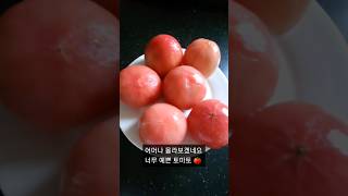 토마토 초간단 데치기