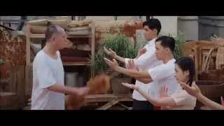 Ip Man - The final fight Trailer originale