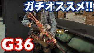 ディビジョン ガチオススメ!! G36 タレント・MOD紹介 DIVISION 1.8