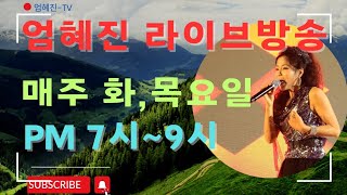 가수 엄혜진 467회 혜진뮤직빡스 #현역가왕 #트롯 #엄혜진 #라이브여왕 #엄혜진tv