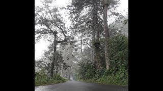 Woow...!!! Jalur Wisata Puncak 2 Sukamakmur-Jonggol | Bogor