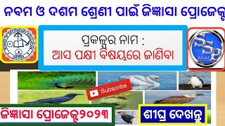 Jigyansa Project- ଆସ ପକ୍ଷୀ ବିଷୟରେ ଜାଣିବା | 9th class \u0026 10th class Jigyansa project 2023-24 #Project