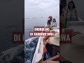 Snorkling di Karimun Jawa