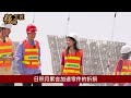 中国内蒙古出现罕见一幕，将100万头羊引入沙漠后，结果出现了神奇反应，随后一幕彻底轰动全世界