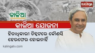 Agri Secy Saurabh Garg speaks on KALIA Yojana | Kalinga TV