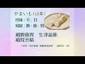 【薬膳食材】やまいも（山薬）であれこれ〜薬膳よもやま話　つばめの日めくりラジオvol 110　2024年7月3日