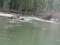 jet boat crash on azure river wells gray p.p. b.c. canada