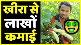 मालामाल खीरा🥒🥒Profit, Marketing, Variety, Harvesting | Cucumber Farming Techniques A to Z