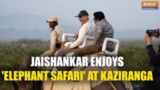 Jaishankar Enjoys ‘Elephant Safari’ at Kaziranga National Park, Calls It “Adbhut Experience”