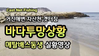 메탈배스 친동생이 전하는 겨울동해바다투망실황,강원도 고성군 거진항,거진해변 자산천 갯터짐상태,വല എറിയുന്നു,เหวี่ยงแหจับปลา#숭어투망달인#거진항#castnet