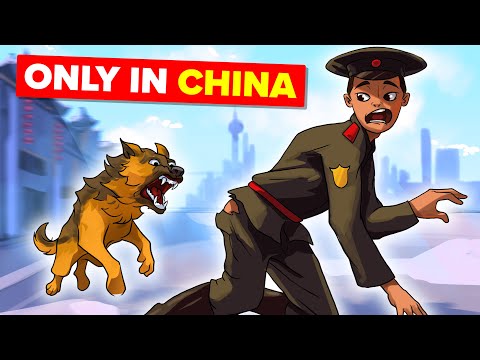 What are the key laws of China?