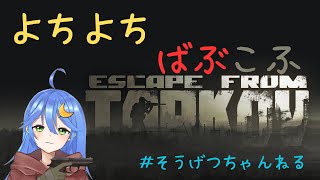 【#escapefromtarkov 】#19 めりくり！！！！【#新人Vtuber】