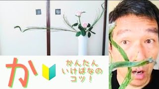 🔰【始めよう！いけばな】初心者向け、よくわかる生け花！石化えにしだとばらで、生け花レッスン！花意匠かたむけるかたち