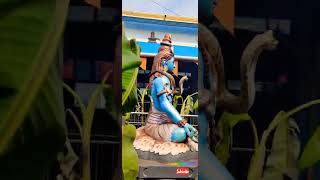 #Ksheera ramalingeswara swamy temple - #palakollu #omnamahshivaya #shiva #lordshiva #karthikamasam