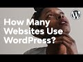 How Many Websites Use WordPress?