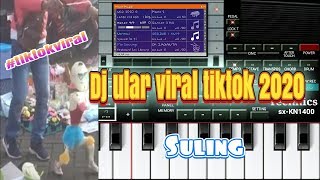 DJ ULAR YANG SEDANG VIRAL || TIKTOK TERBARU VERSI ORG 2020