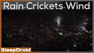 ►Forest Floor at Night: CRICKETS, RAIN, WIND Sounds for Sleep Study Relax, Crickets and Rain Sounds